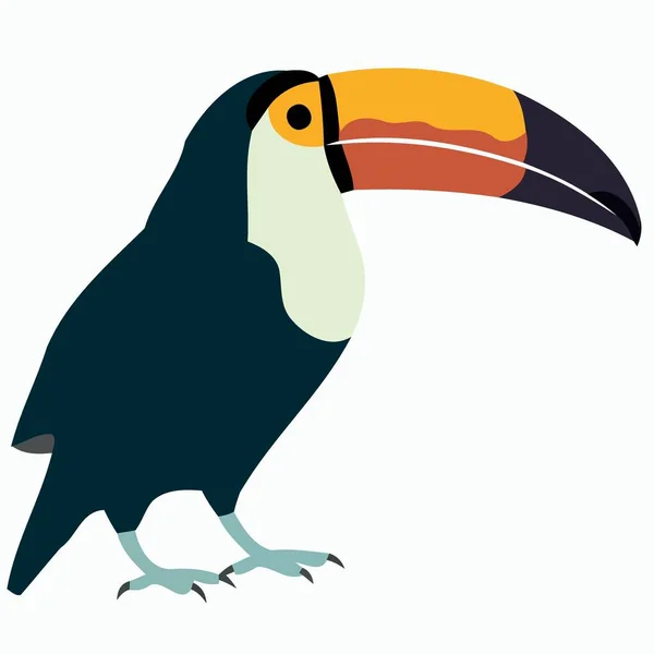 Ζώο Πουλί Toucan Στέκεται Μινιμαλιστική Διανυσματική Απεικόνιση — Διανυσματικό Αρχείο