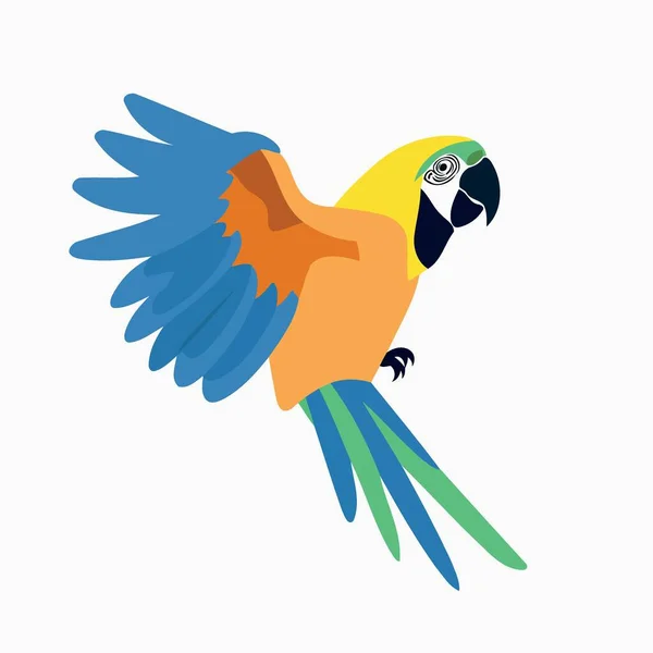 Ζώο Παπαγάλος Macaw Πετούν Διανυσματική Απεικόνιση Μινιμαλιστικό — Διανυσματικό Αρχείο