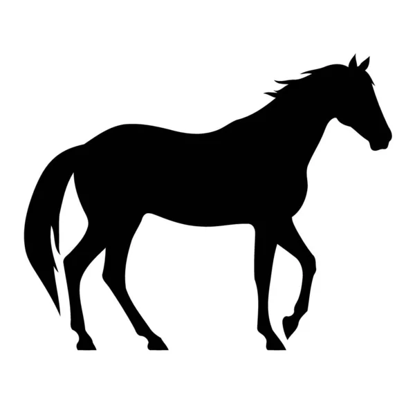 Animal Mamífero Cavalo Silhueta Preto Branco Minimalista Vetor Ilustração — Vetor de Stock