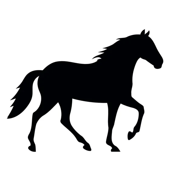 Dierlijk Zoogdier Paard Silhouet Zwart Wit Minimalistische Vector Illustratie — Stockvector