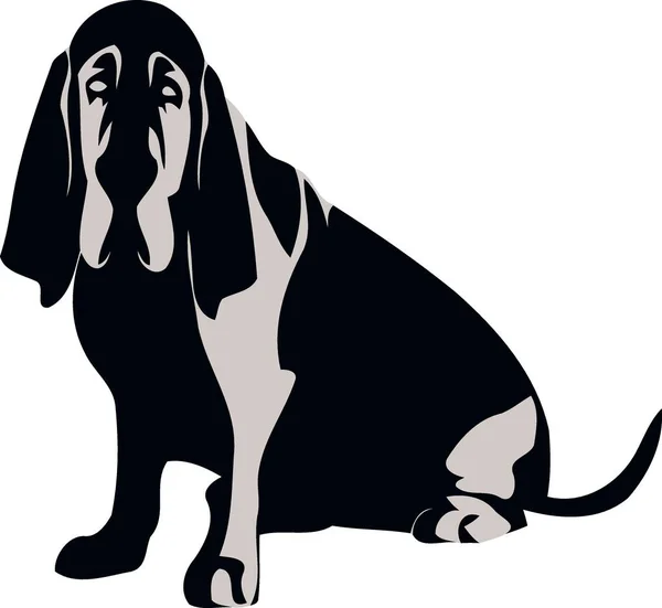 Bloodhound Raça Cão Silhueta Preto Branco Ilustração Vetor Minimalista — Vetor de Stock