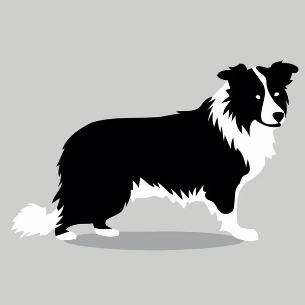 Hund Der Rasse Border Collie Silhouette Schwarz Weißer Minimalistischer Vektorillustration — Stockvektor