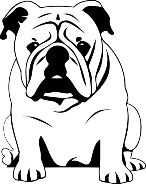 黑白相间的最小矢量图上的斗牛犬动物 — 图库矢量图片