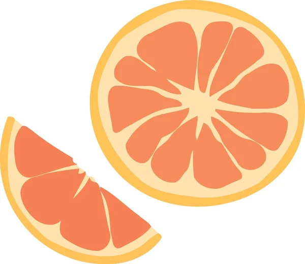 Sliced Orange Citrus Fruit Minimalist Vector Illustration — Stock Vector