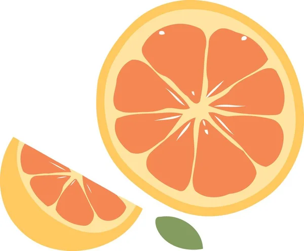 Geschnittene Orangen Zitrusfrüchte Minimalistische Vektorillustration — Stockvektor