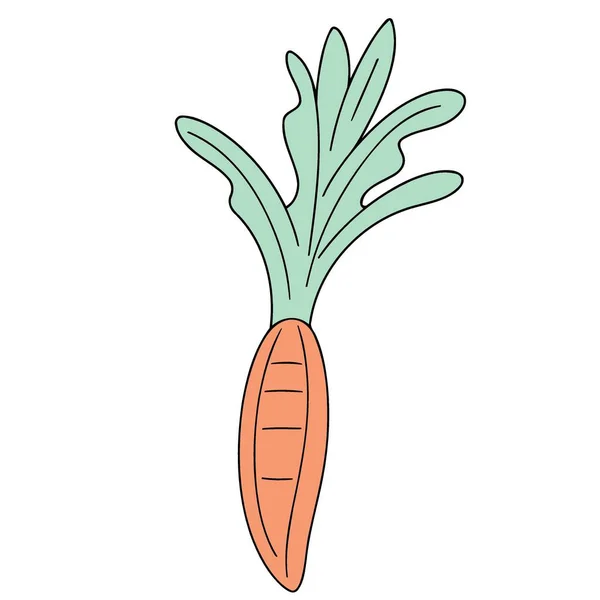 Овощные Продукты Морковь Минималистская Векторная Иллюстрация — стоковый вектор