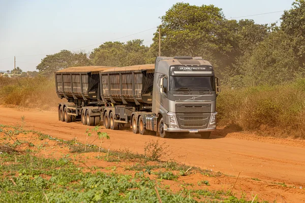 브라질의 아포레 고이아 2023 시골의 비포장 도로에서 곡물을 운반하기 트레일러를 — 스톡 사진