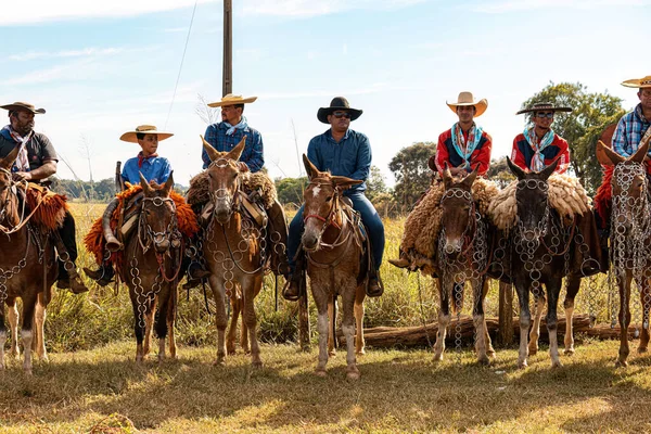 Apore Goias Brazil 2023 Horseback Riding Event Open Public Public — Stock Photo, Image