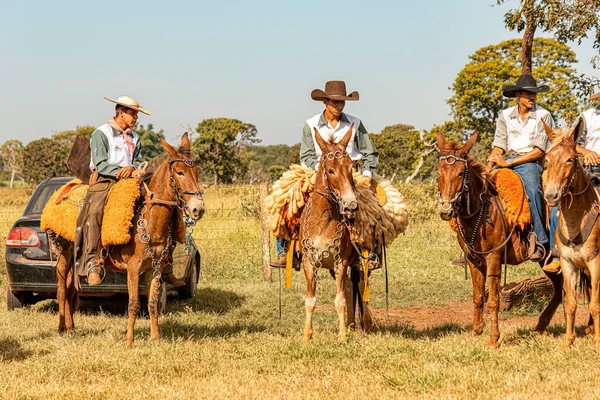 stock image Apore, Goias, Brazil - 05 07 2023: Horseback riding event open to the public on public roads in the Brazilian city of Apore