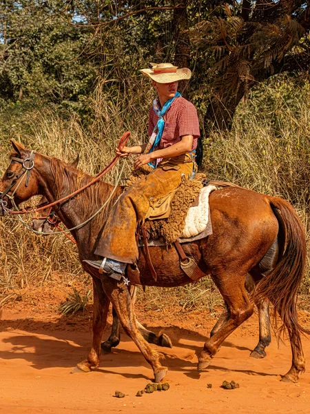 Apore Goias ブラジル 2023年7月 乗馬イベントは ブラジルの公共道路で公開されています — ストック写真