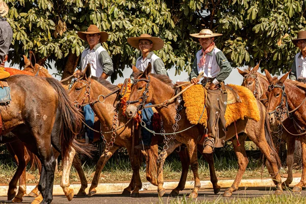 Apore Goias Brazil 2023 Horseback Ride Event Open Public Roads — 스톡 사진