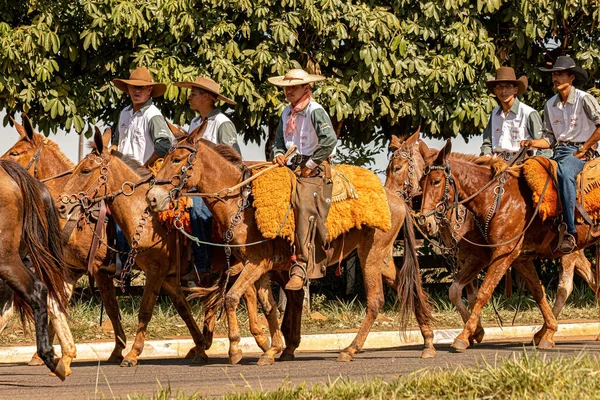 Apore Goiás Brasil 2023 Equitação Aberta Público Vias Públicas Cidade — Fotografia de Stock