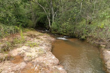 Doğada kayalar ve küçük şelaleler var.
