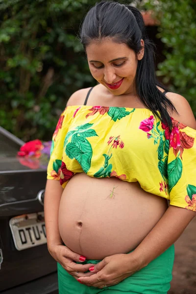 Gravid Kvinna Med Bönsyrsa Magen — Stockfoto