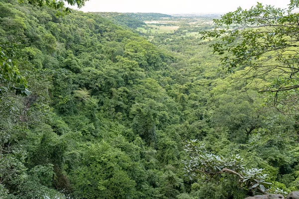 Green Forest Lookout Top View Tall Waterfall — Stock Photo, Image