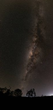 Açık yıldızlı gece gökyüzü açılı astrofotoğrafçılık alanı uzun pozlama