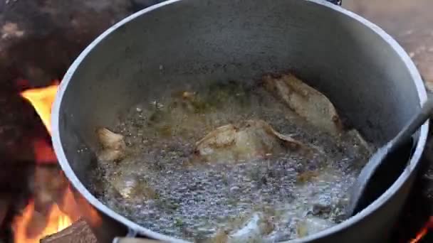 Metal Bir Tavada Yağda Kızartılan Balıklar — Stok video