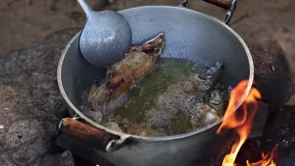 Ryby Smaží Oleji Kovové Pánvi Nad Táborákem — Stock video