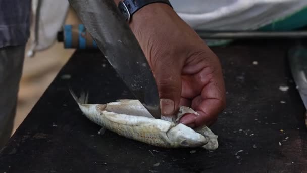 Hazırlama Elleri Bıçakla Çiğ Balığı Kesme Hazırlama — Stok video