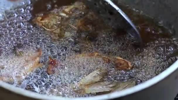キャンプファイヤーの上に金属パンの油で揚げられている魚 — ストック動画