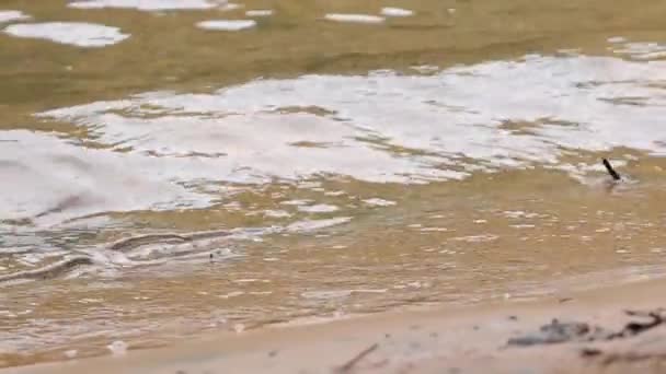 River Edge Slow Motion Vatten Och Sand Samspel — Stockvideo
