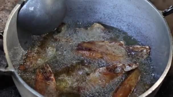 キャンプファイヤーの上に金属パンの油で揚げられている魚 — ストック動画