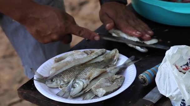 Příprava Rukou Řezání Příprava Syrové Ryby Nožem — Stock video