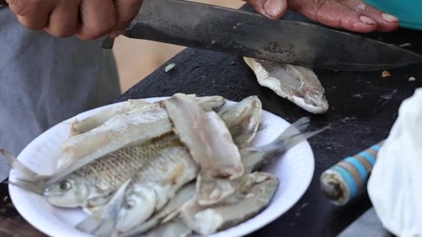 Preparazione Mani Taglio Preparazione Del Pesce Crudo Con Coltello — Video Stock