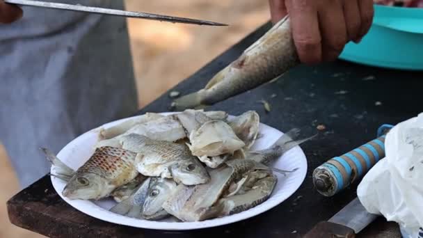 Hazırlama Elleri Bıçakla Çiğ Balığı Kesme Hazırlama — Stok video