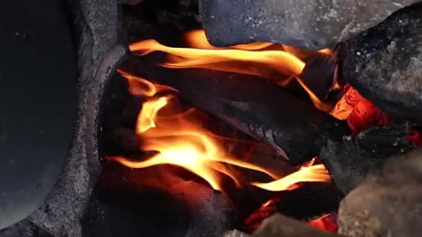 用石头和木柴在篝火上的垂直视频临时营火 — 图库视频影像