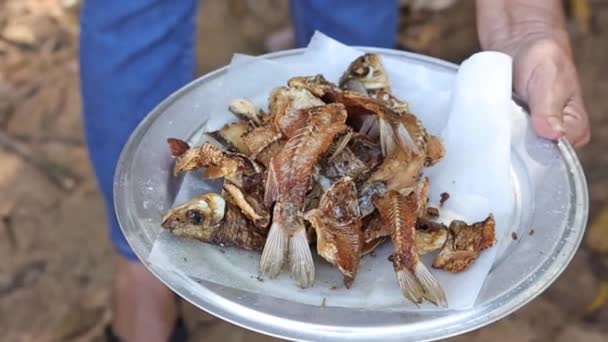 Peixe Frito Sendo Colocado Uma Bandeja Metal Depois Cozinhar Fogão — Vídeo de Stock