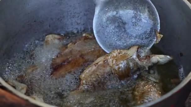 Рыбу Поджаривают Масле Металлической Сковороде Над Костром — стоковое видео