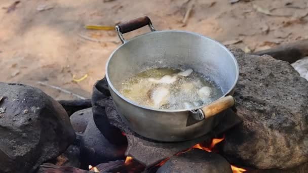Kamp Ateşinde Metal Bir Tavada Yağda Kızartılan Balıklar — Stok video
