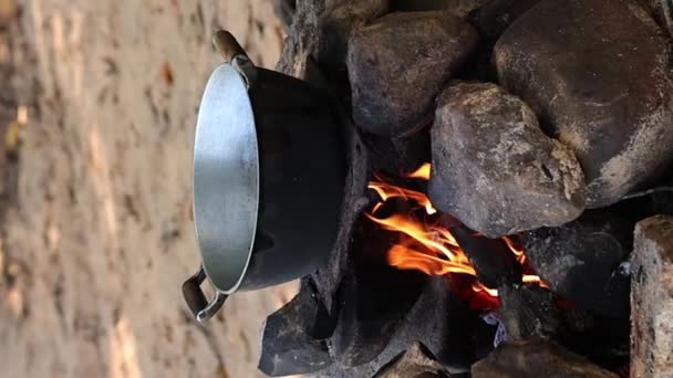 用石头和木柴在篝火上的垂直视频临时营火 — 图库视频影像