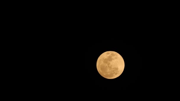 明暗的夜空与经过的黄月的特写 — 图库视频影像
