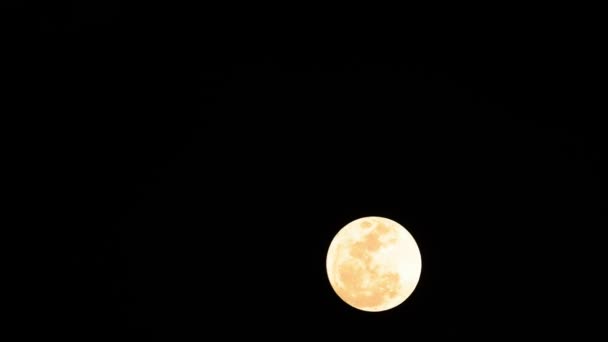 在漆黑的夜空中 乌云密布 满月掠过 — 图库视频影像