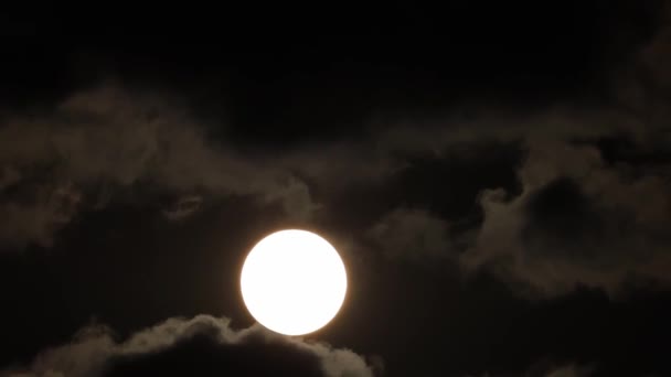 Primo Piano Del Cielo Notturno Scuro Con Nuvole Luna Piena — Video Stock