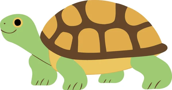 Broască Țestoasă Țestoasă Drăguță Ilustrare Vectorială Minimalistă — Vector de stoc