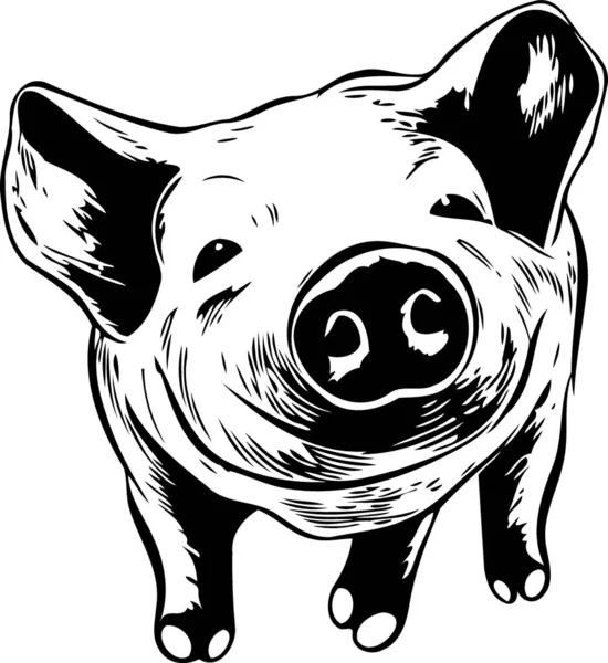 Pig Mammal Animal Body Black White Minimalist Vector Illustration — Stock Vector