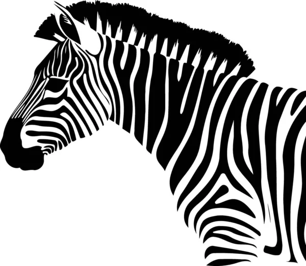 animal mammal wild equine zebra black and white minimalistic vector illustration