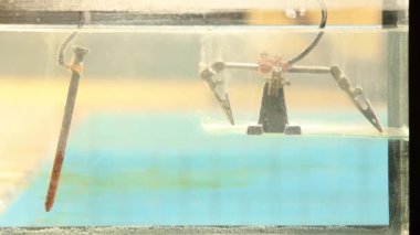 Pas çıkarmak için elektrolizden geçen metal parçalı akvaryum