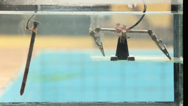 Aquarium Mit Metallgegenständen Die Einer Elektrolyse Unterzogen Werden Rost Entfernen — Stockvideo