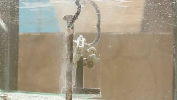 Aquarium Met Metalen Voorwerpen Die Elektrolyse Ondergaan Roest Verwijderen — Stockvideo