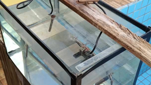 Aquarium Met Metalen Voorwerpen Die Elektrolyse Ondergaan Roest Verwijderen — Stockvideo
