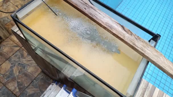 Aquarium Met Machete Water Ondergaan Elektrolyse Proces Roest Verwijderen — Stockvideo