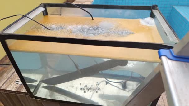 Aquarium Mit Machetenwasser Das Einem Elektrolyseprozess Unterzogen Wird Rost Entfernen — Stockvideo