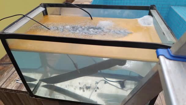 錆を取り除くために電解プロセスを受けている機械水が付いている水族館 — ストック動画
