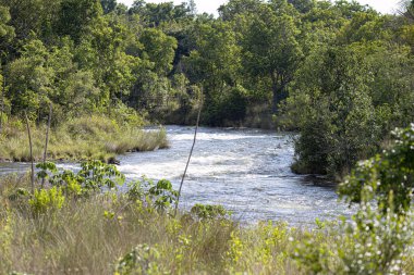 Mineiros, Goias, Brezilya - 11 25 2023: Emas Ulusal Parkı 'ndaki Formoso Nehri