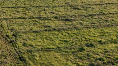 Çayırların etrafını çevreleyen hatlarla kapatın.