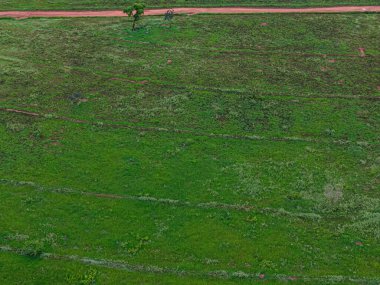 Çayırların etrafını çevreleyen hatlarla kapatın.